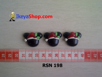 rsn 198  large2